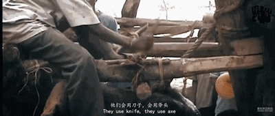 江一燕点赞的“黑幕”片都被禁播 5千万网友不干了!看完不寒而栗… (图集