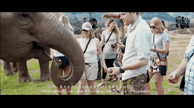 江一燕点赞的“黑幕”片都被禁播 5千万网友不干了!看完不寒而栗… (图集