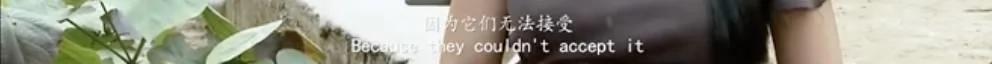 江一燕点赞的“黑幕”片都被禁播 5千万网友不干了!看完不寒而栗… (图集