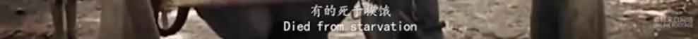 江一燕点赞的“黑幕”片都被禁播 5千万网友不干了!看完不寒而栗… (图集