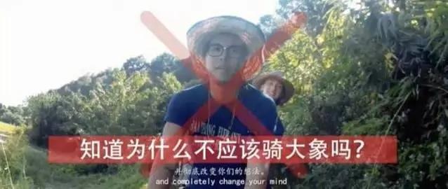 江一燕点赞的“黑幕”片都被禁播 5千万网友不干了!看完不寒而栗… (图集