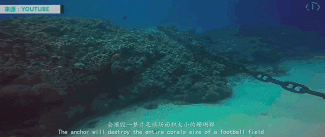 江一燕点赞的“黑幕”片都被禁播 5千万网友不干了!看完不寒而栗… (图集