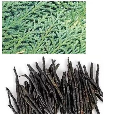 10块钱就能治好你的白头发 太厉害了!每天都洗一洗 两三天就能发现新生的头发了!