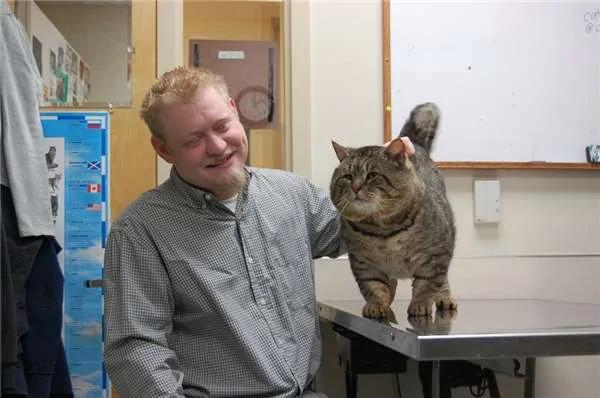 震撼!这只“虎斑大猫”偷跑去吃人家的狗饲料!“六个月”后他的样子竟然…