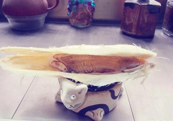 吃完芒果把核扔到花盆里 没想到一段时间后 不可思议的事情发生了…