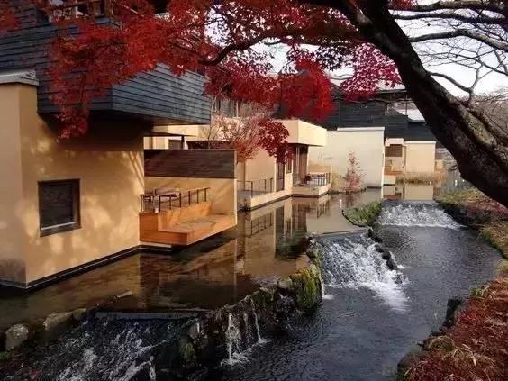 8000元一晚 两晚起住 没有电视、空调 不管三餐 居然仍能年入25亿