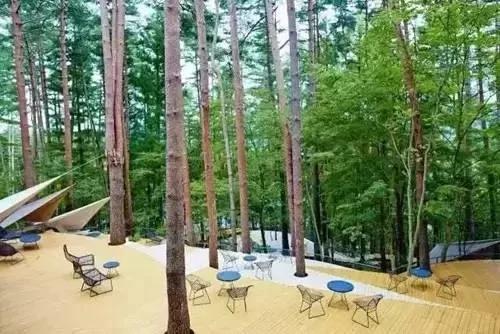8000元一晚 两晚起住 没有电视、空调 不管三餐 居然仍能年入25亿