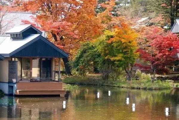 8000元一晚 两晚起住 没有电视、空调 不管三餐 居然仍能年入25亿