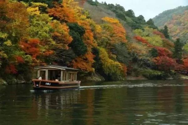 8000元一晚 两晚起住 没有电视、空调 不管三餐 居然仍能年入25亿