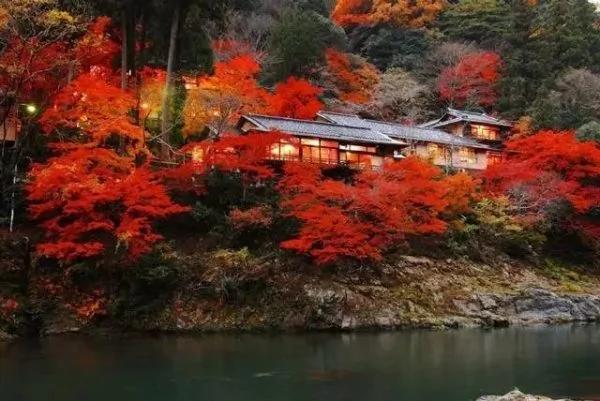 8000元一晚 两晚起住 没有电视、空调 不管三餐 居然仍能年入25亿