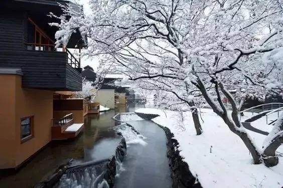 8000元一晚 两晚起住 没有电视、空调 不管三餐 居然仍能年入25亿
