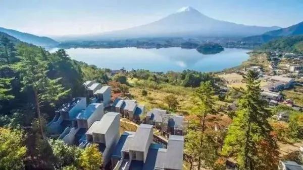 8000元一晚 两晚起住 没有电视、空调 不管三餐 居然仍能年入25亿