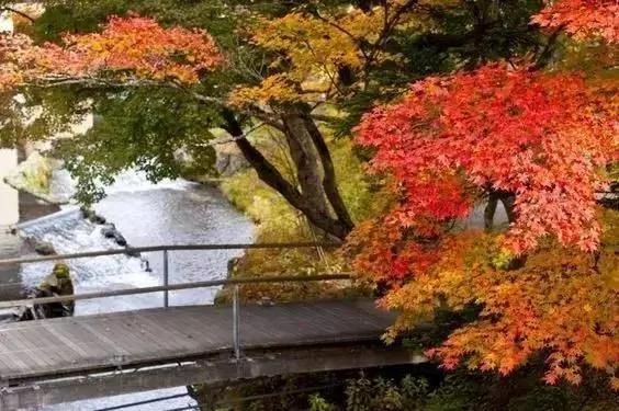 8000元一晚 两晚起住 没有电视、空调 不管三餐 居然仍能年入25亿