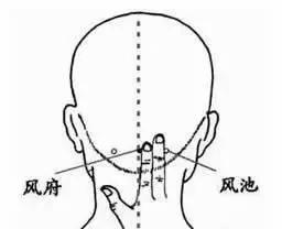 脸要穷养、身要娇养!女人养生的四句话 说得不能再明白了!