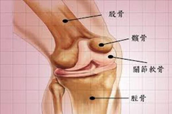 关节响 是有什么疾病吗?