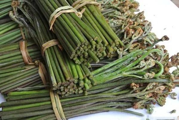 农村不常见的野菜,有一种名字最奇葩叫雷公屎!