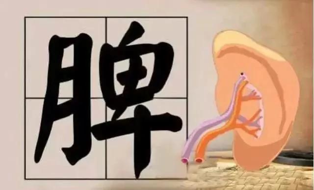 脾胃有问题 这五个小动作来帮你!