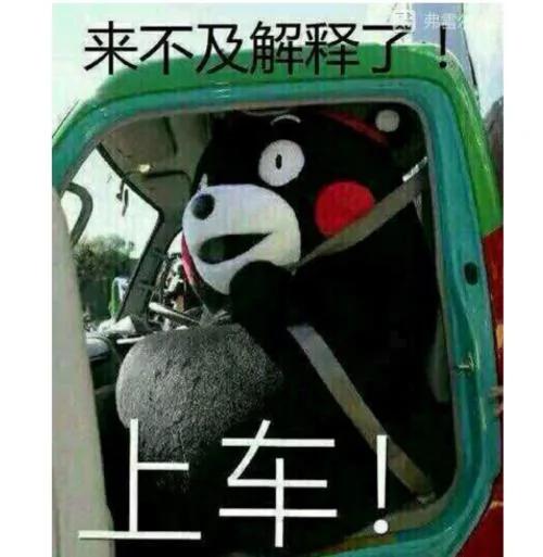 成精了!美国一黑熊拉开车门觅食 然后把车开走了