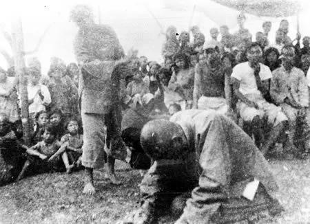 林辉:让党史需重写的纪录片《暴风骤雨》