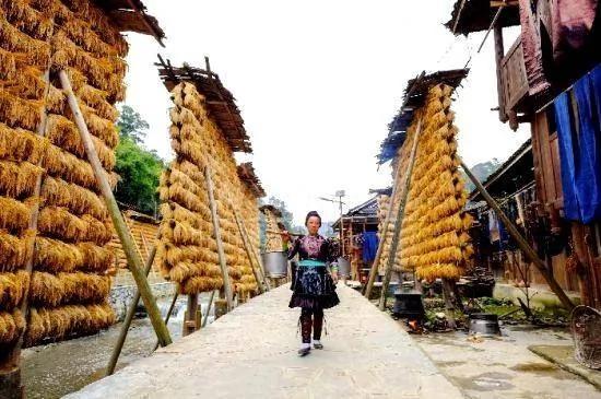 秘境之地 贵州小村700年来不外嫁不外娶