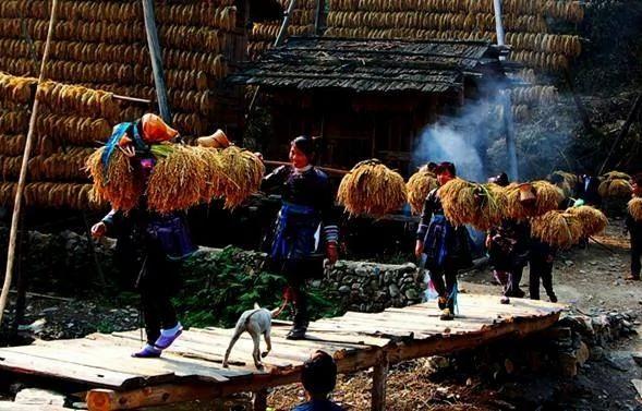 秘境之地 贵州小村700年来不外嫁不外娶