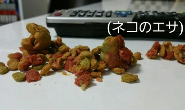 小仓鼠半夜起床狂偷东西吃 被主人抓包竟然还全部塞到嘴里 笑喷了!