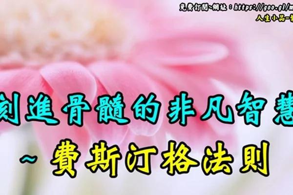 “费斯汀格法则”的魅力在哪里?