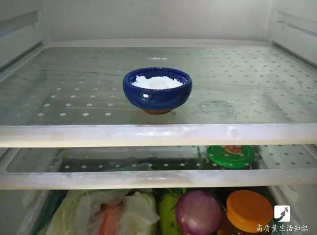 在冰箱里放一块这个 10年都不用清洁冰箱!