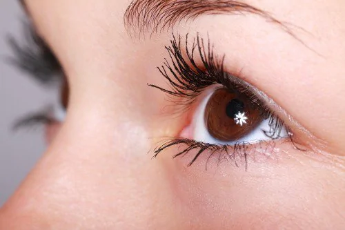 研究指出，人體能感覺光線的組織細胞可不只是眼睛。（圖片來源：Pixabay）
