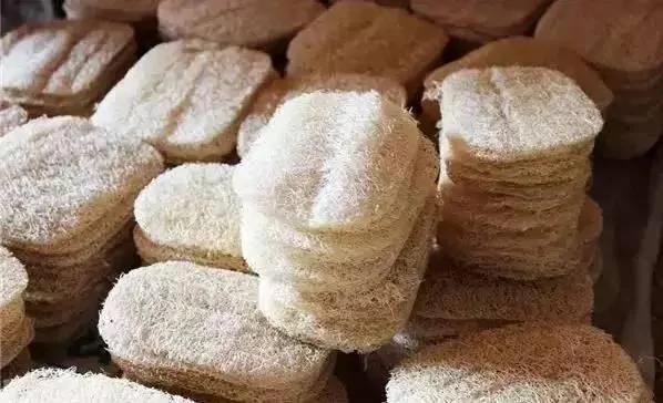 超实用!95%的人拿它当“洗碗布” 却不知它浑身是宝