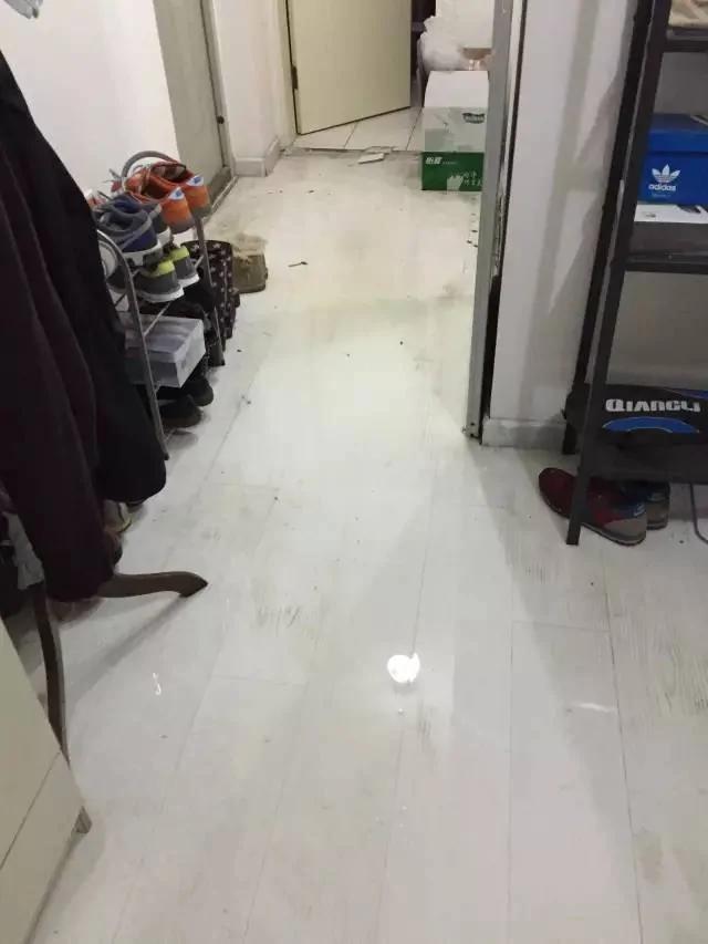 “一屋两人三餐四季” 这对90后恋人用4000块钱爆改50㎡出租屋 把爱情过成了诗!