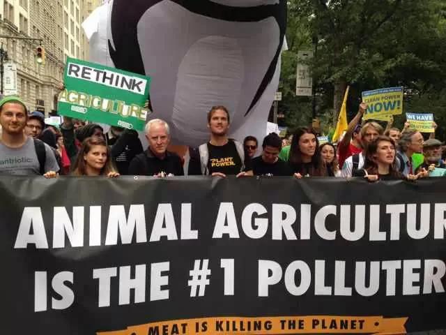 纽约40万人大游行 | 呼吁人类吃素!素食风将暴席卷全球!