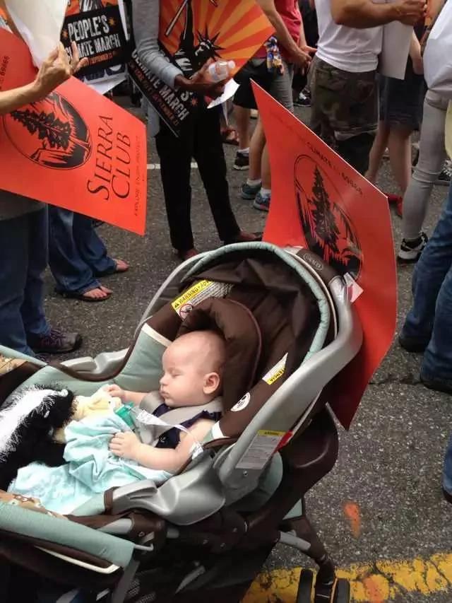 纽约40万人大游行 | 呼吁人类吃素!素食风将暴席卷全球!