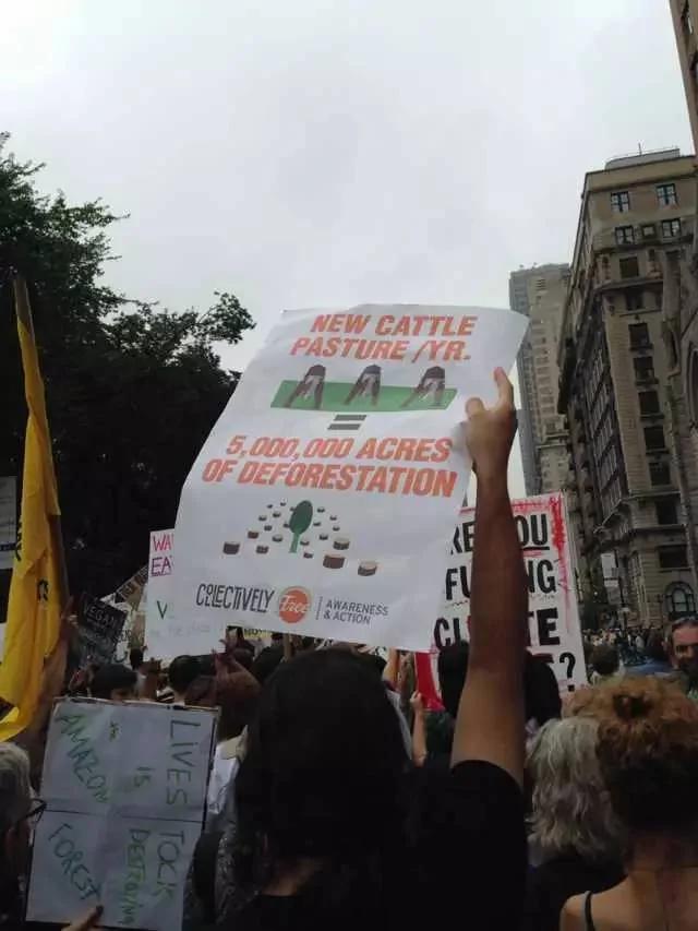 纽约40万人大游行 | 呼吁人类吃素!素食风将暴席卷全球!