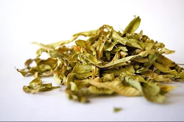 中医十大名方 每一个都能救人无数