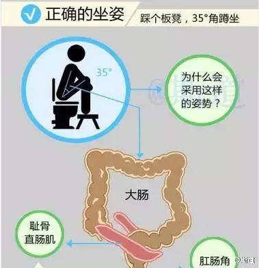 天啊原来我们这么坐马桶一直都是错误的!