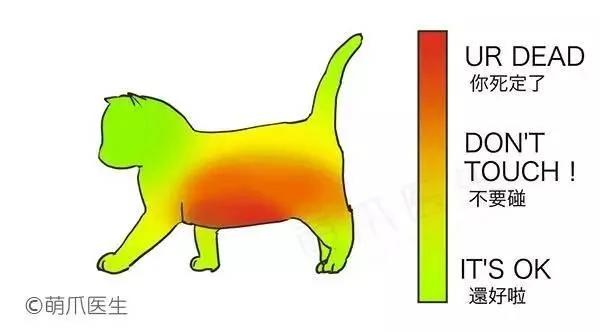 狗狗、猫咪突然咬你一口 之后再反过来舔舔你原来是“这种意思”!