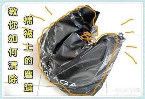 不必买防螨洗衣精 也可以轻松有效防尘螨