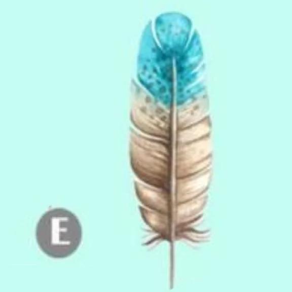 测试:凭直觉选一根羽毛 立即看出你隐藏的性格