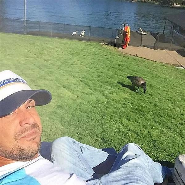 2年前他救下一只差点溺死的小母雁 结果就有了一段不解之缘!
