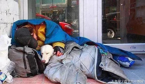 金毛疯狂地冲向了一个流浪汉 路人惊叫 了解内情后却泪湿了眼眶!