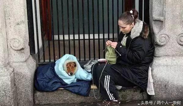 金毛疯狂地冲向了一个流浪汉 路人惊叫 了解内情后却泪湿了眼眶!