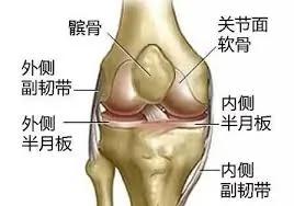 不想将来坐轮椅的快点进来!疼痛科医生最新的膝盖使用指南已百万人收藏了!