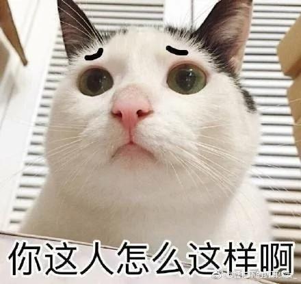猫咪偷吃食物被抓包眼神死:要肉干没有 要命一条!