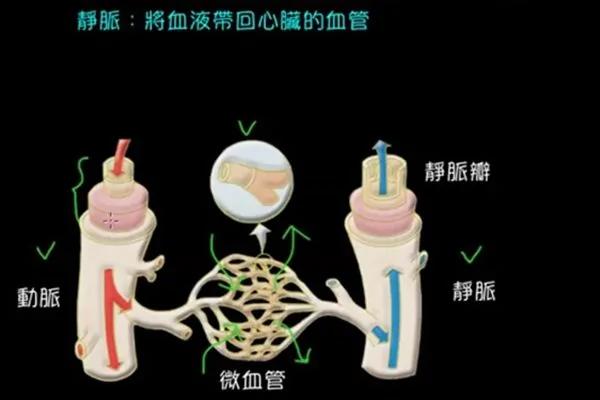血管堵没堵,弯腰摸这里就知道!每天做几次,把血栓冲刷净!