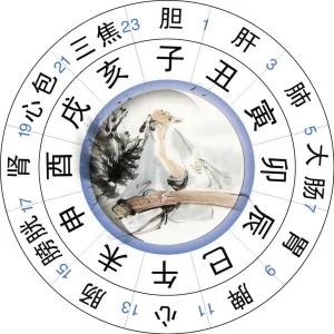 24小时时辰养生全攻略