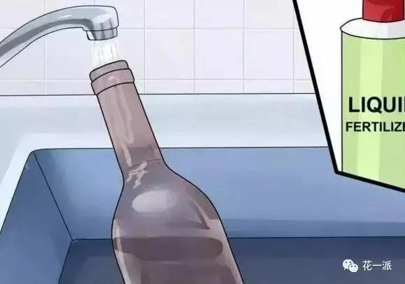自制自动浇花神器 一个月不浇水花花照样开的美美的