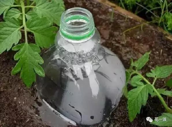 自制自动浇花神器 一个月不浇水花花照样开的美美的