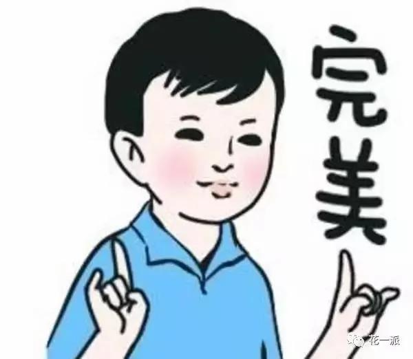 自制自动浇花神器 一个月不浇水花花照样开的美美的