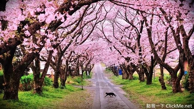 亚洲国家《最佳旅游时间表》 没想到日本一年四季都可去